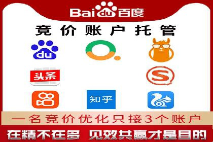 百度竞价运营策略：成功案例解析