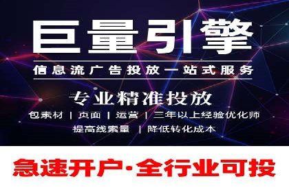 成功SEM服务案例分析报告